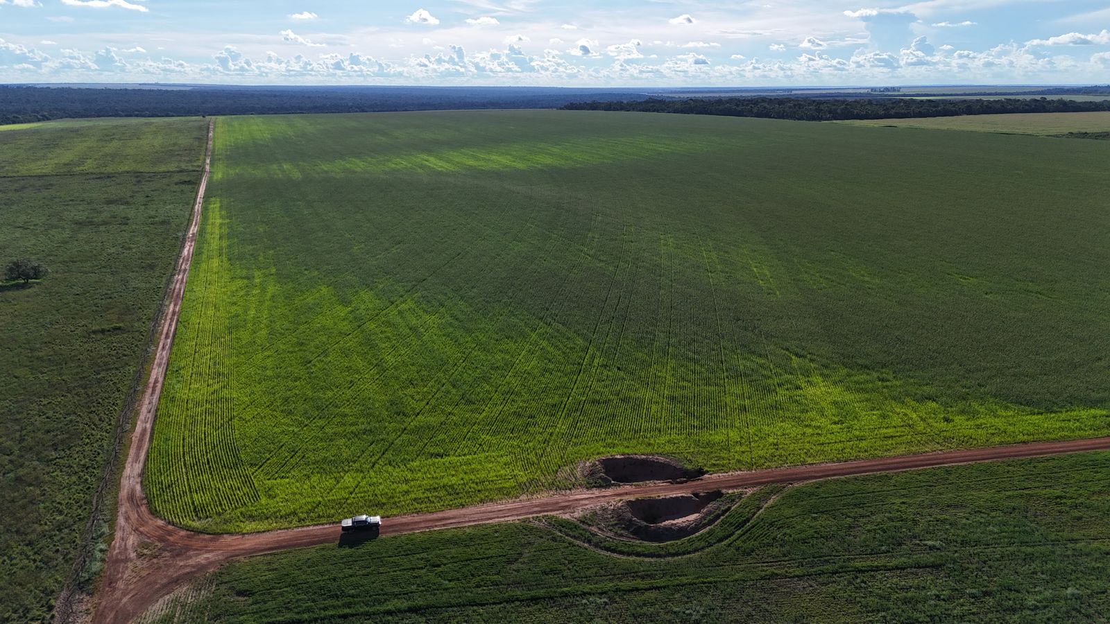 Biodiversidade do solo: essencial para uma agricultura sustentável. A biodiversidade do solo é composta por uma rica comunidade de organismos — desde microrganismos como bactérias e fungos, até minhocas, colêmbolos e nematoides — que desempenham papéis essenciais nos processos biológicos do ambiente agrícola. Esses seres vivos atuam na decomposição da matéria orgânica, ciclagem de nutrientes, aeração do solo, controle biológico de pragas e promoção da saúde das plantas